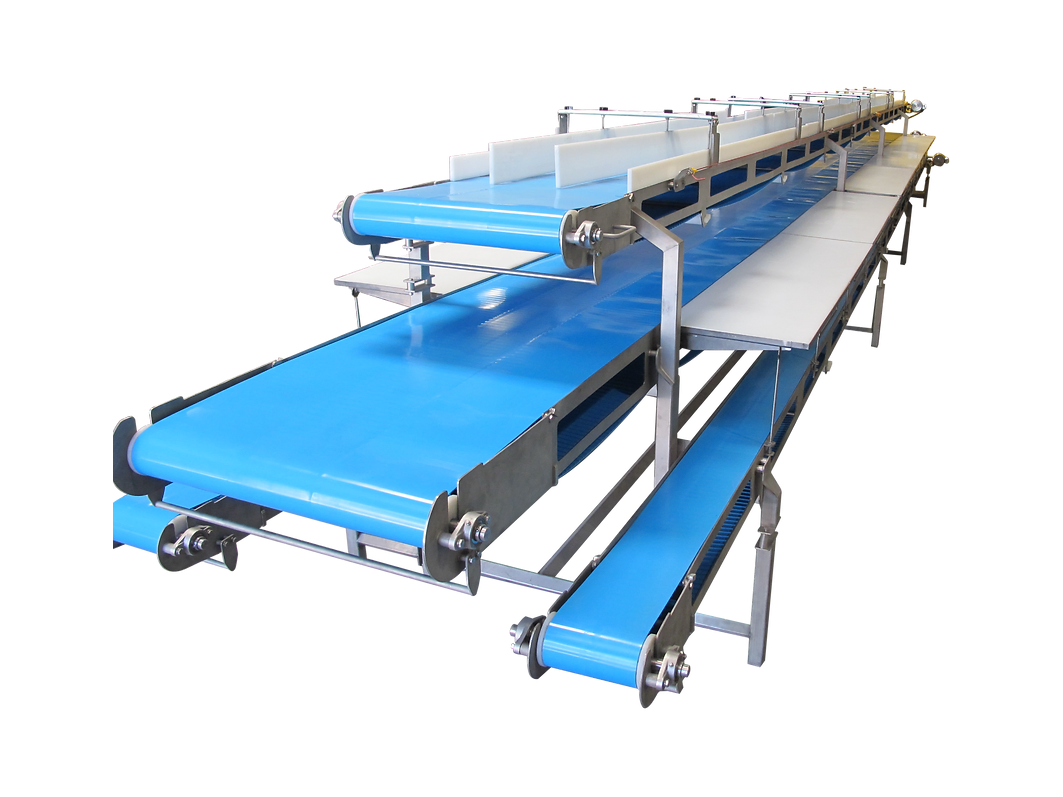 tortilla Straight Conveyor