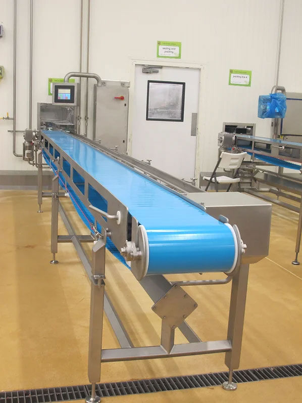 tortilla Straight Conveyor